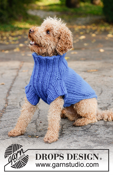 Blue Shadow / DROPS Extra 0-81 - Pull tricoté pour chien en DROPS Snow. Se tricote à partir du bas vers le col, en jersey et côtes. Du XS au L.