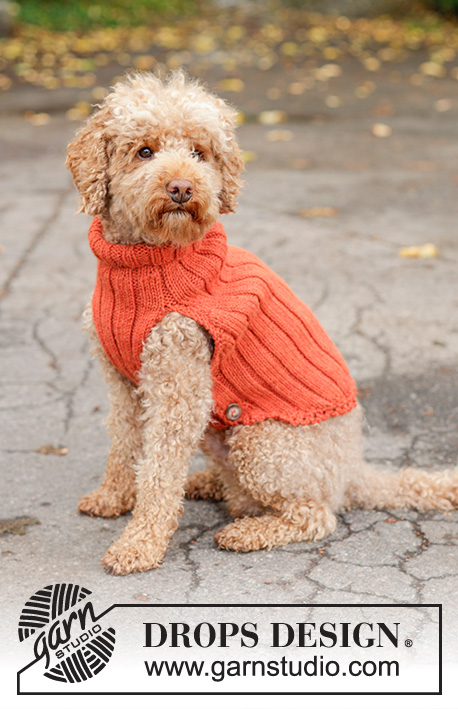Outdoor Fun / DROPS 102-45 - DROPS vesta - svetr pro psa pletený pružným vzorem z příze Alaska.