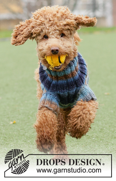 Paws & Stripes / DROPS 185-35 - Dog’s knitted jumper with rib. Sizes XS - M. The piece is worked in DROPS Big Delight.
