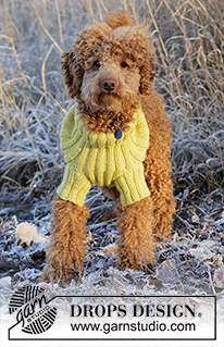 Mr. Sunshine / DROPS 228-55 - Knitted sweater for dog in DROPS Alaska. The piece is worked in rib. Sizes: XS - M.