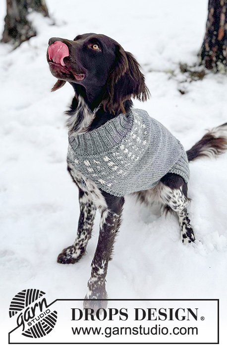 Northbound / DROPS 233-17 - Pull tricoté pour chien en DROPS Alaska. Se tricote de haut en bas avec jacquard. Du XS au M.