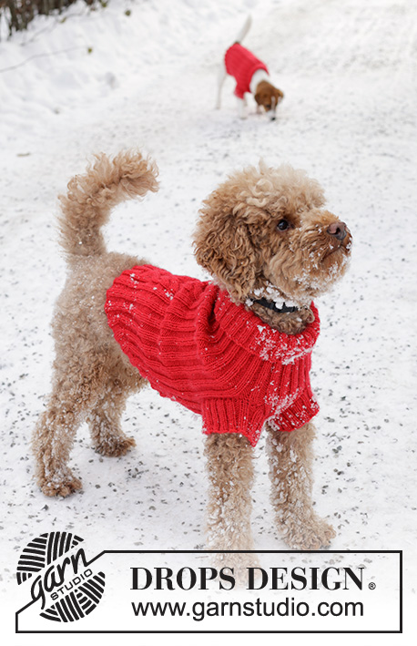 Holiday Buddies / DROPS 245-31 - Capa tricotada para cão em DROPS Karisma. Tricota-se a partir da gola, com canelado e torcidos. Do XS ao M. Tema: Natal.