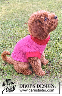 Good Girl Sweater / DROPS 245-32 - DROPS Nepal lõngast kaelast sabani kootud kampsun koerale suurustele XS-S-M