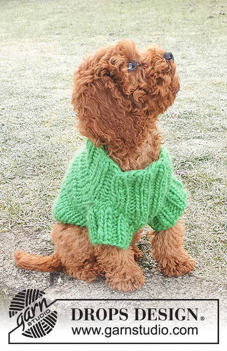 Good Boy Sweater / DROPS 245-34 - Strikket hundegenser / genser til hund i DROPS Snow. Arbeidet strikkes fra halsen til halen ovenfra og ned. Størrelse XS - L.