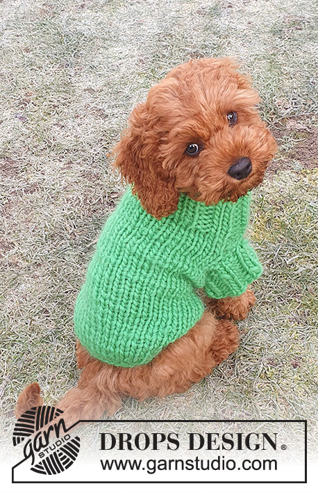 Good Boy Sweater / DROPS 245-34 - Capa tricotada para cão em DROPS Snow. Tricota-se de cima para baixo, a partir da gola. Do XS ao L.