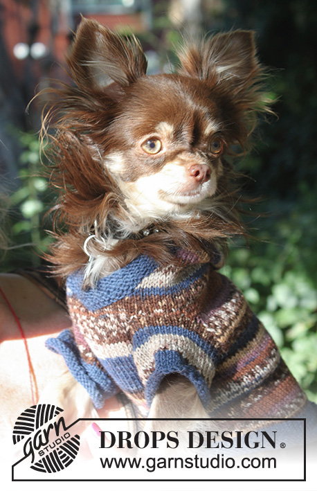 Little Watcher / DROPS Extra 0-833 - Pull pour chien tricoté en DROPS Fabel. Se tricote à partir du bas vers le col,  avec capuche. Du XS au M.