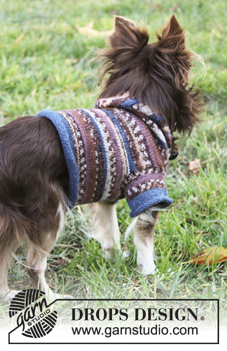 Little Watcher / DROPS Extra 0-833 - Jersey de punto para perro en DROPS Fabel. La pieza está tejida de la cola hasta el cuello, con capucha. Tallas XS - M.