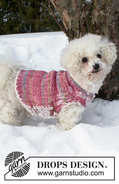 Warm Banjo / DROPS Extra 0-835 - Manteau tricoté pour chien en DROPS Fabel et DROPS  BabyMerino, avec bordures en DROPS Symphony. Du XS au L.