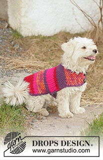 Suzi / DROPS 102-40 - DROPS dog coat knitted in Seed stitch with ”Snow”.