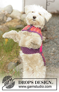 Suzi / DROPS 102-40 - DROPS dog coat knitted in Seed stitch with ”Snow”.