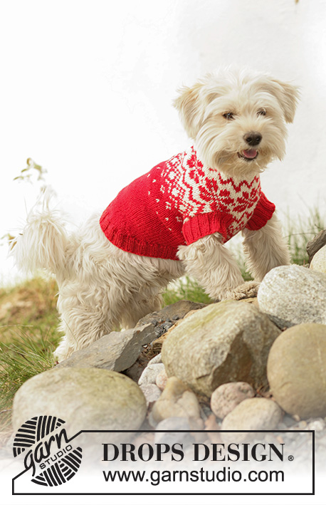 Nordic Paws / DROPS 102-42 - Vánoční svetr pro psa s tradičním norským vzorem pletený z příze DROPS Karisma.