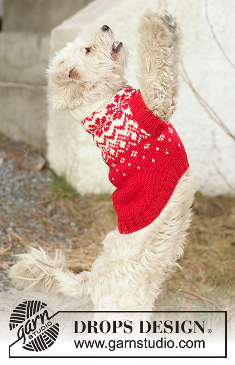 Nordic Paws / DROPS 102-42 - Sweter / świąteczny sweter na drutach dla psa DROPS z włóczki DROPS Karisma z tradycyjnym żakardem norweskim