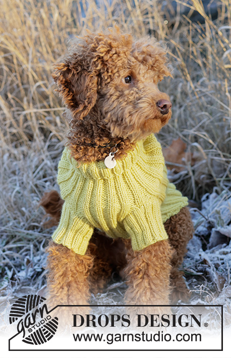 Mr. Sunshine / DROPS 228-55 - Free knitting patterns by DROPS Design