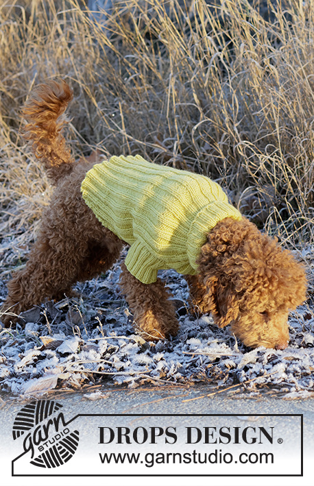 Mr. Sunshine / DROPS 228-55 - Gebreide trui voor de hond in DROPS Alaska. Het werk wordt gebreid in boordsteek. Maten: XS - M.