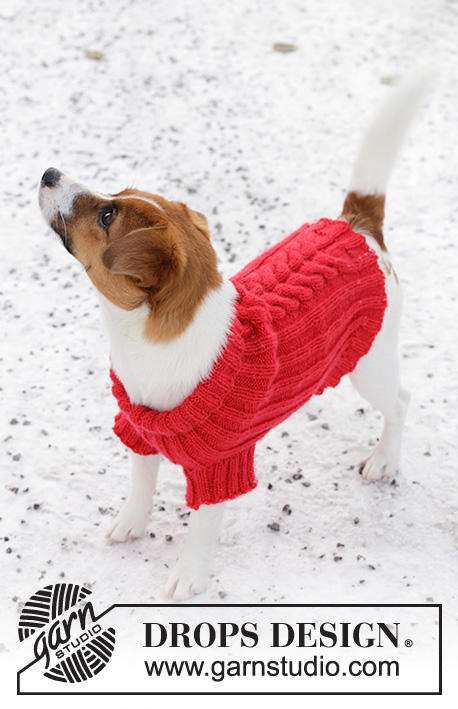 Holiday Buddies / DROPS 245-31 - Knitted dog jumper in DROPS Karisma. The piece is worked from neck to tail, with rib and cables. Sizes XS - M. Theme: Christmas.