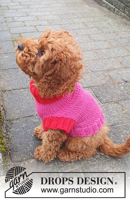 Good Girl Sweater / DROPS 245-32 - Strikket genser til hund / hundegenser i DROPS Nepal. Arbeidet strikkes fra halsen og frem til halen. Størrelse XS - M.