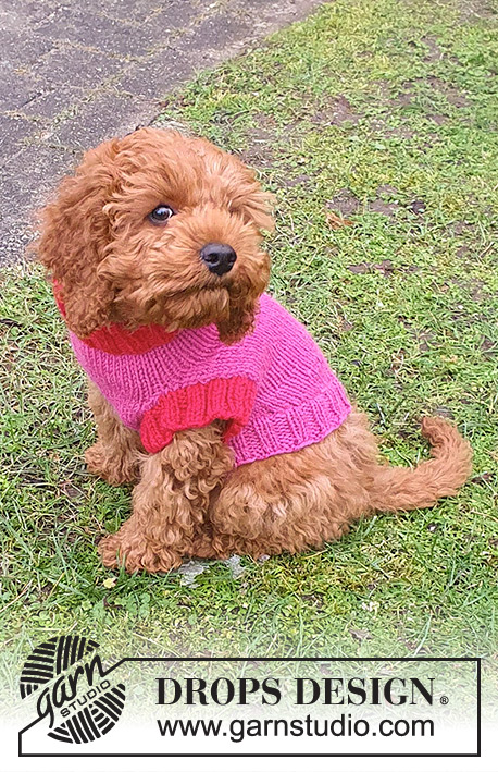 Good Girl Sweater / DROPS 245-32 - Sweter / płaszcz dla psa na drutach z włóczki DROPS Nepal. Przerabiany od szyi do dolnej części tyłu. Od XS do M.