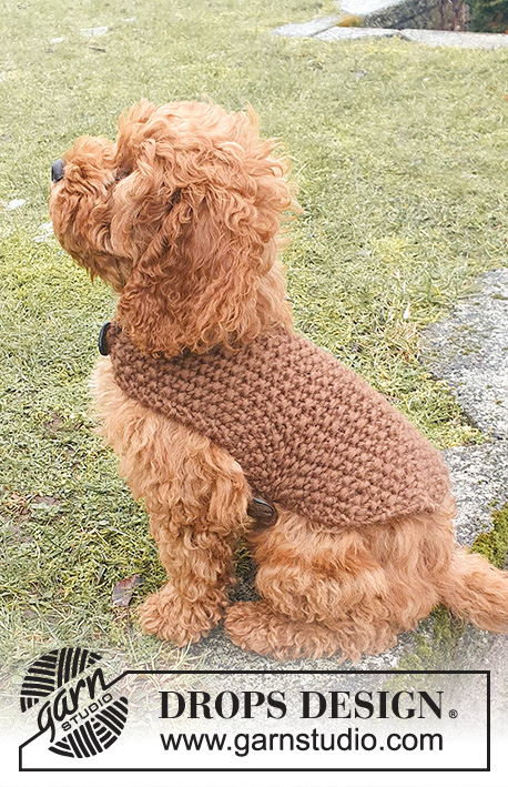 Best Day Ever Coat / DROPS 245-33 - Knitted dog’s coat / dog's jacket in DROPS Snow. The piece is worked in moss stitch from the tail to the neck, with strap under the tummy. Sizes XS-M.
