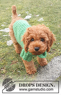 Good Boy Sweater / DROPS 245-34 - Stickad hundtröja / tröja till hund i DROPS Snow. Arbetet stickas från halsen till svansen uppifrån och ner. Storlek XS - L.