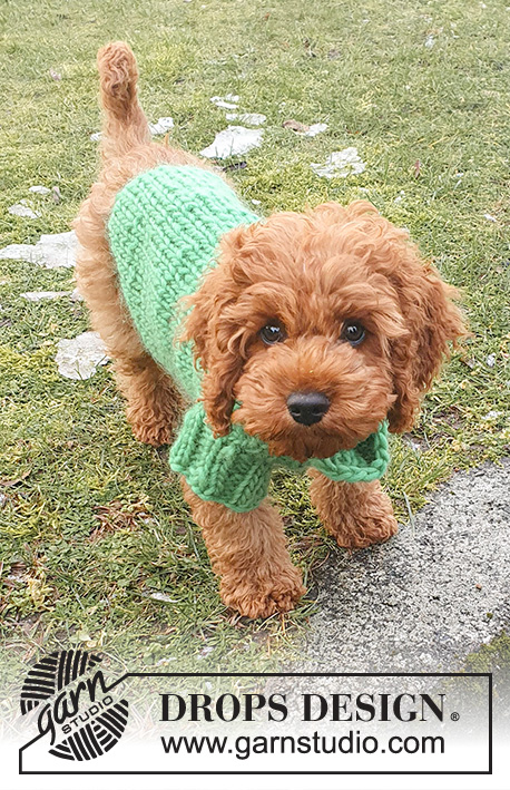 Good Boy Sweater / DROPS 245-34 - Pull tricoté pour chien en DROPS Snow. Se tricote de haut en bas, à partir du col. Du XS au L.
