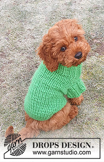 Good Boy Sweater / DROPS 245-34 - Gestrickter Hundepullover / Pullover für Hunde in DROPS Snow. Die Arbeit wird ab dem Hals bis zum Schwanz von oben nach unten gestrickt. Größe XS - L.