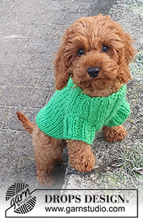 Good Boy Sweater / DROPS 245-34 - Knitted dog’s sweater in DROPS Snow. The piece is worked from neck to tail. Sizes XS-L.
